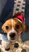 kyla.doddsss Altpins Profile Picture