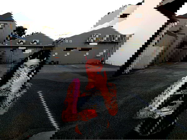 jtilb image ~ Altpins