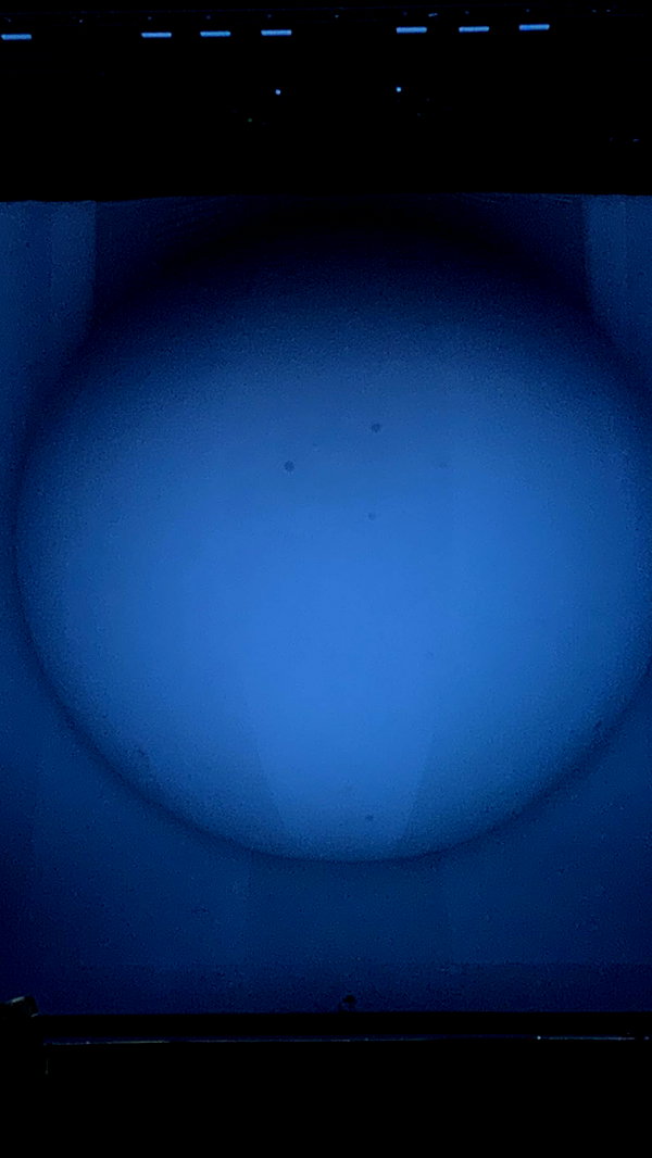 arianagrande instagram image archive image