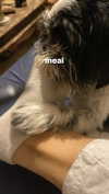 babynympho_archive Altpins Profile Picture