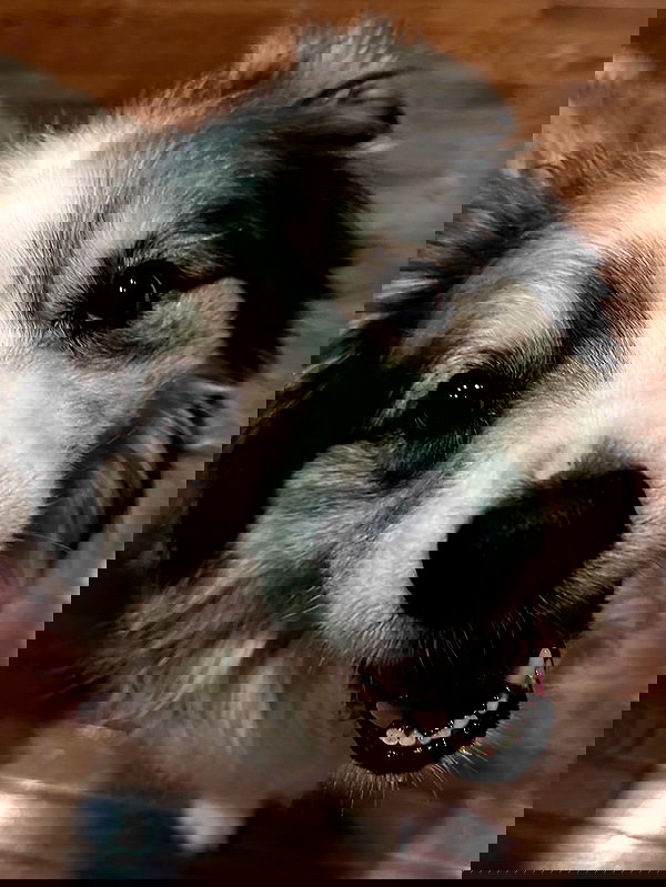 taylor.creeden taylor.creeden archive image