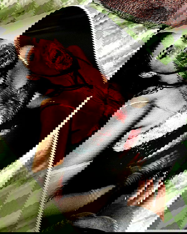 jtilb image ~ Altpins