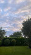 federica.piccinni Altpins Profile Picture