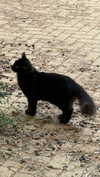 efrat_elmalich Altpins Profile Picture