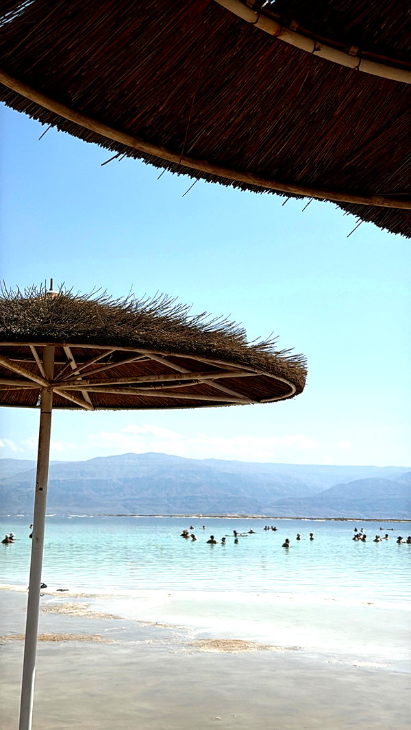 orcoheen instagram image archive image