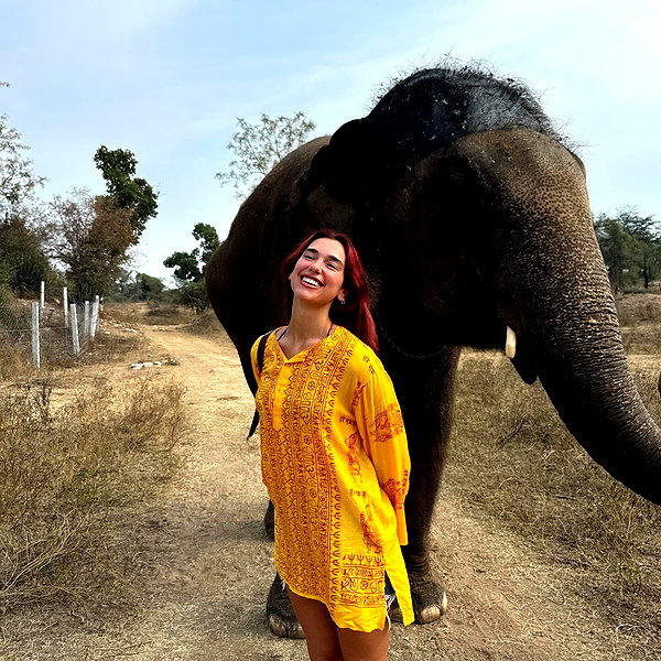 dualipa instagram image archive image