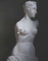 jadelaverne Altpins Profile Picture