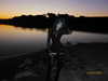cyber.st4rz Altpins Profile Picture