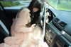 teakitten_ Altpins Profile Picture