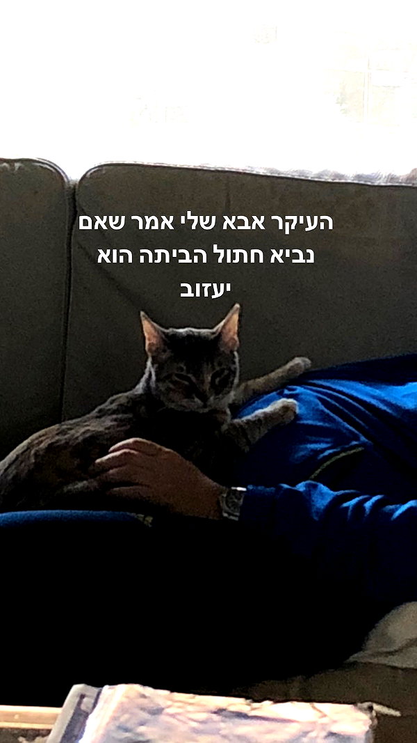 Archived image from @notchicore on Instagram