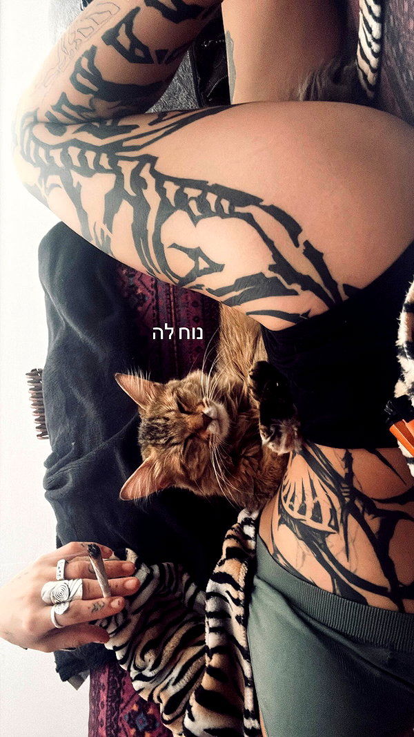 shaharo__._ instagram image archive image