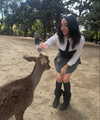 biton__adi Altpins Profile Picture