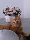 mishel_d_ Altpins Profile Picture
