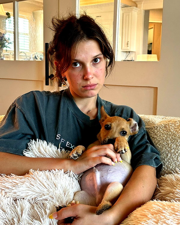 milliebobbybrown instagram image archive image