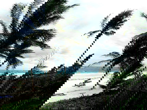 manjolamuriqi manjolamuriqi archive image