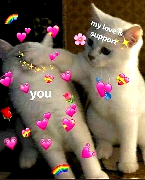 kieraplease instagram image archive image