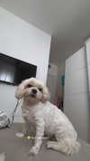 romitalblt Altpins Profile Picture