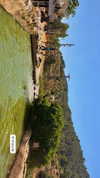 bar_kavod Altpins Profile Picture
