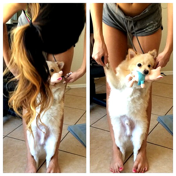 sssniperwolf instagram image archive image