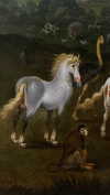 maori_cohen Altpins Profile Picture