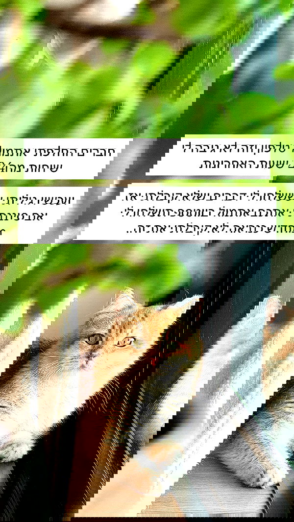 itsilanosh itsilanosh archive image