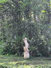 jadelaverne Altpins Profile Picture