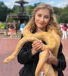 ellianawalmsley Altpins Profile Picture
