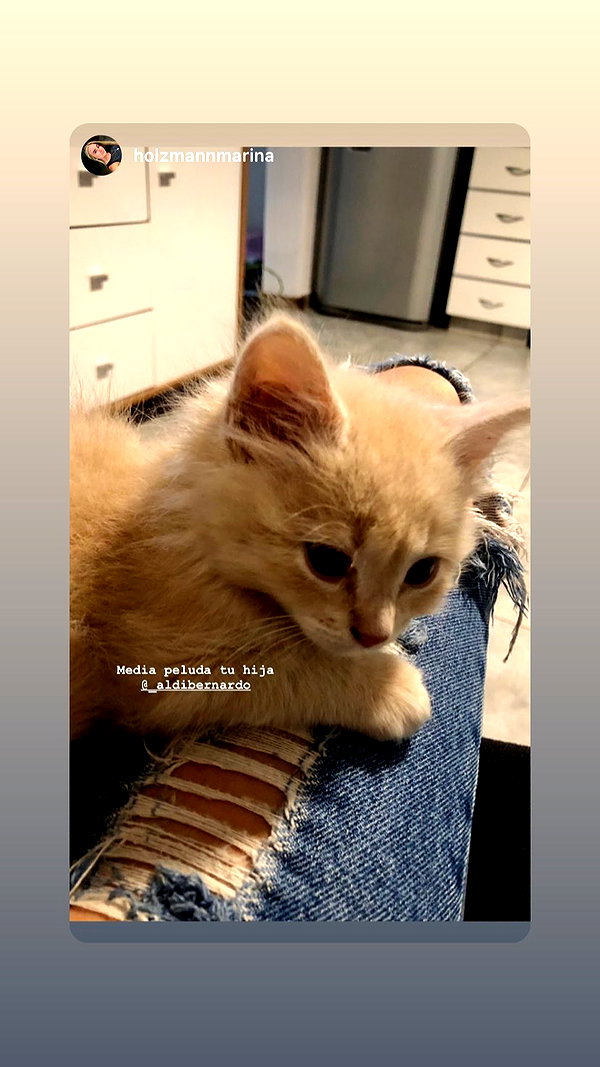 Archived image from @_aldibernardo on Instagram
