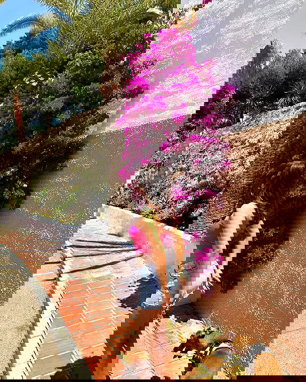 manjolamuriqi manjolamuriqi archive image