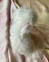 elizabethcampbelljones Altpins Profile Picture