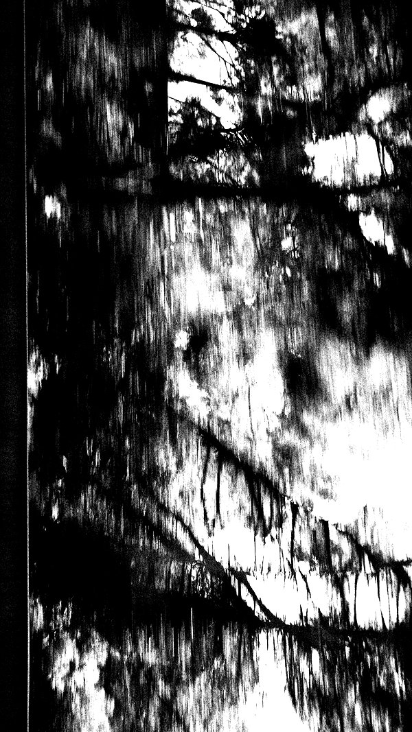 moonliliaght moonliliaght archive image