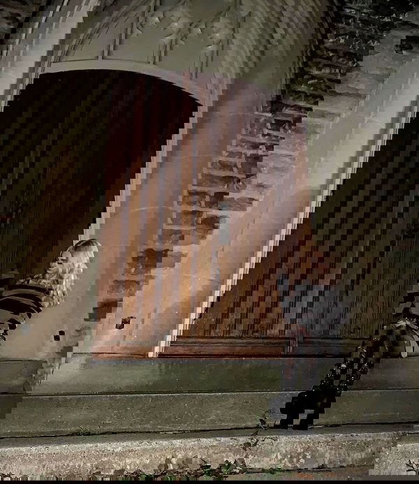 9bitez 9bitez archive image