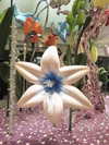 ll.lu1s Altpins Profile Picture