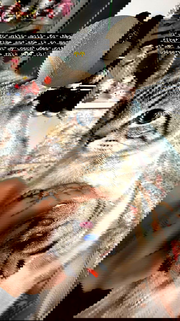 suikomuu suikomuu archive image