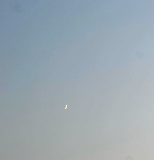 zoeliss instagram image archive image