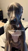 b6ylexx Altpins Profile Picture