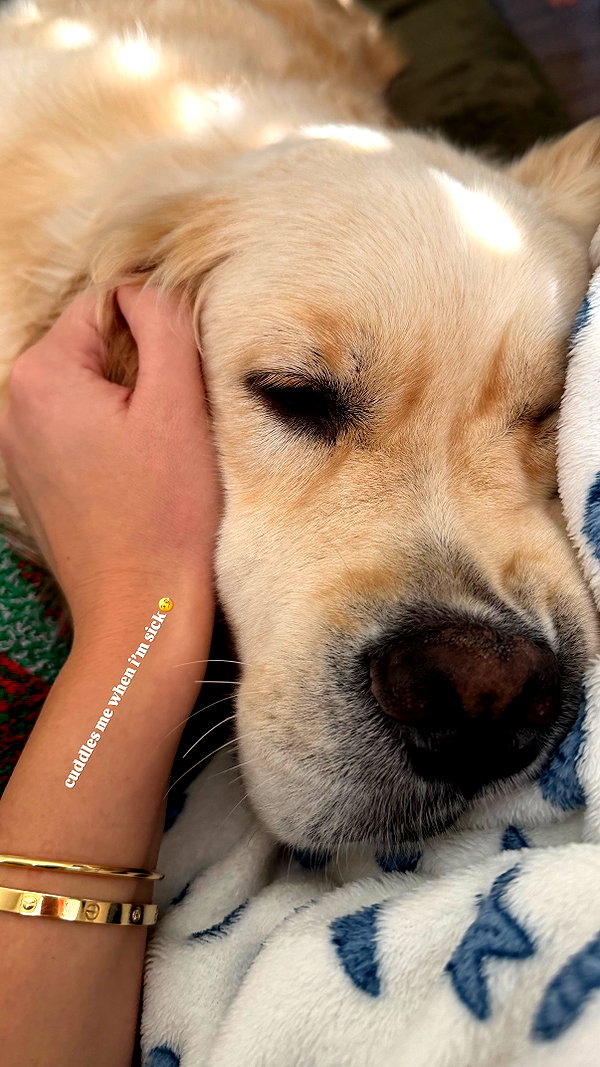 allie_dunn instagram image archive image