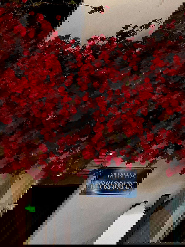 alexis.blond alexis.blond archive image