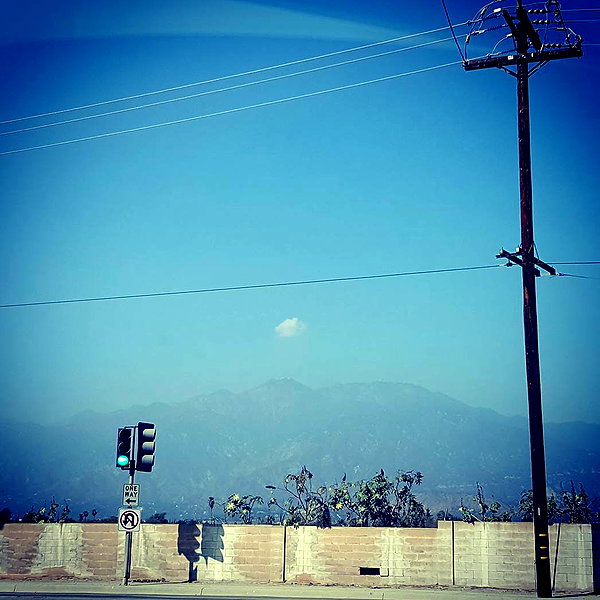 muze instagram image archive image