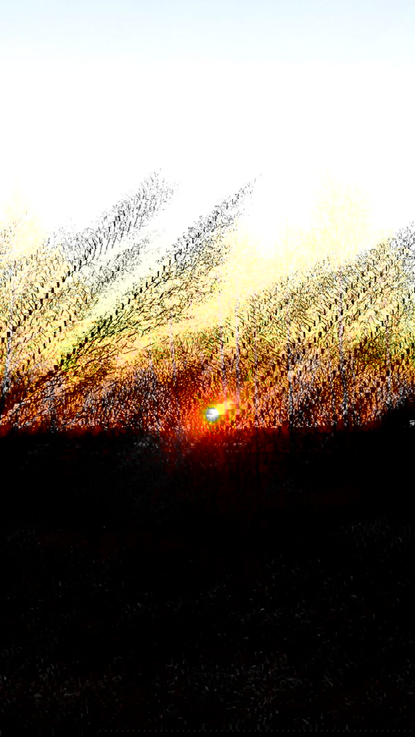 nyityam nyityam archive image