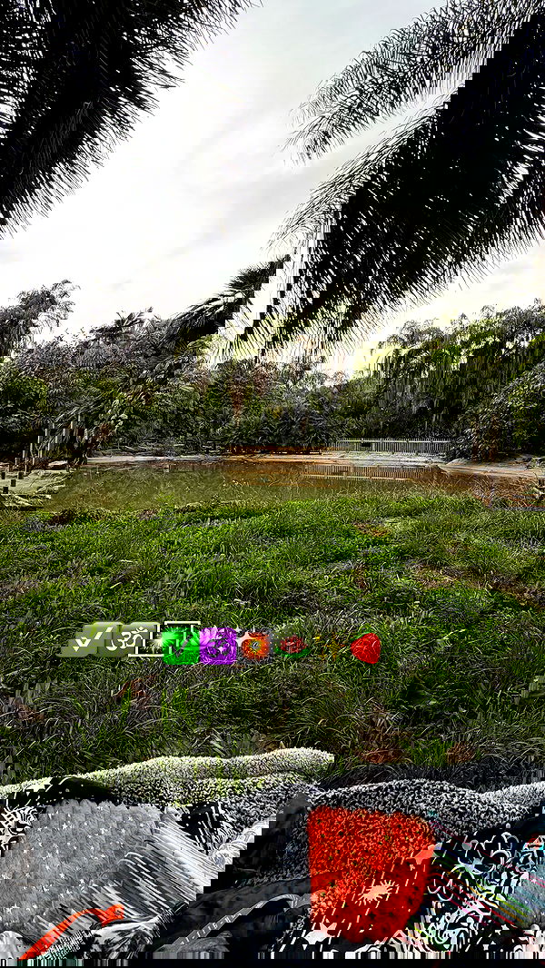 strawberryshanz strawberryshanz archive image