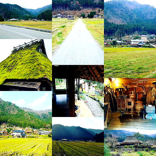 muze instagram image archive image