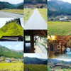 muze Altpins Profile Picture