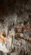 _broock_ Altpins Profile Picture