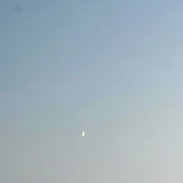 zoeliss instagram image archive image