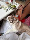 gabimfmoura Altpins Profile Picture