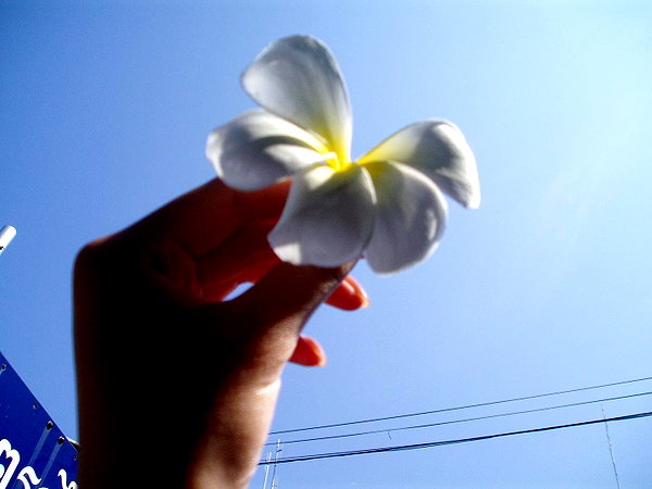 jiw_____n instagram image archive image