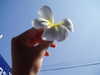 jiw_____n Altpins Profile Picture