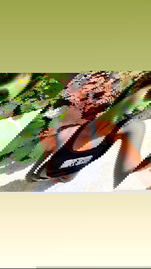 taylor.creeden taylor.creeden archive image