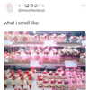 1uvgabi Altpins Profile Picture
